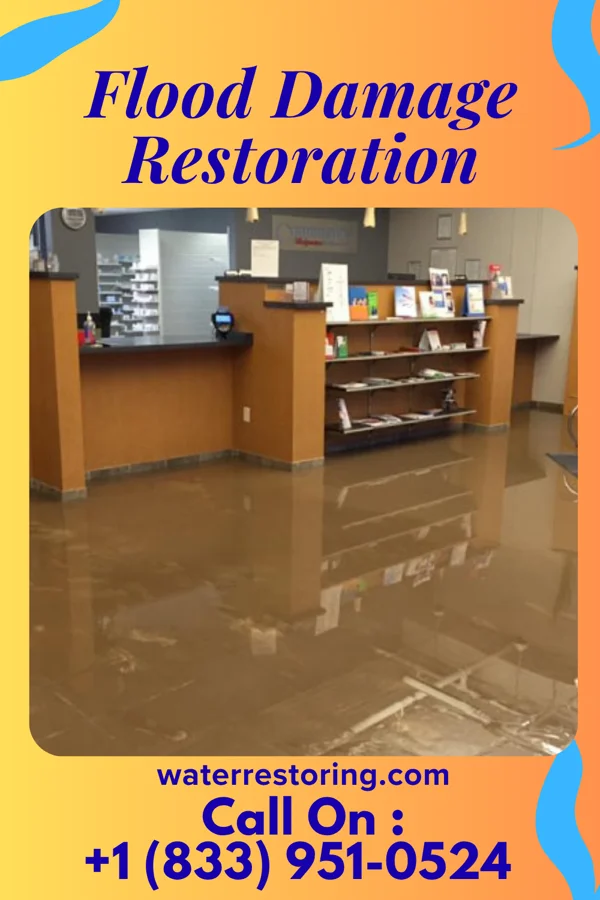 Flood Damage Restoration in Browning, MO