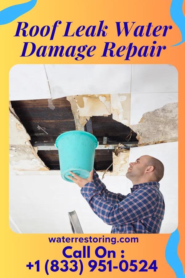 Roof Leak Water Damage Repair in Browning, MO