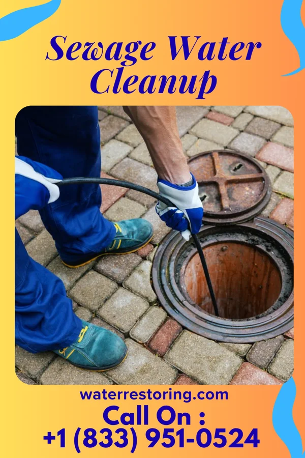 Sewage Water Cleanup in Browning, MO